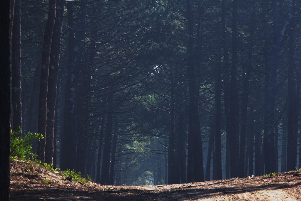 에스모리츠 Oporto Surf Camp 호스텔 외부 사진